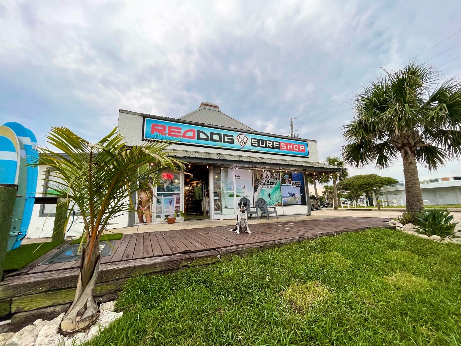 Red Dog Surf Shop workshop